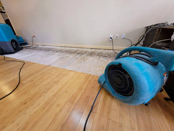 Professional Flood Damage Cleanup technician working in Rocky River, OH